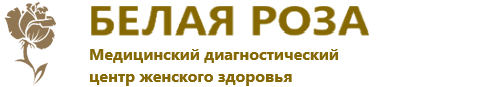 Белая роза